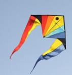 1.5m Rainbow Fish Delta Kite [Albatross]